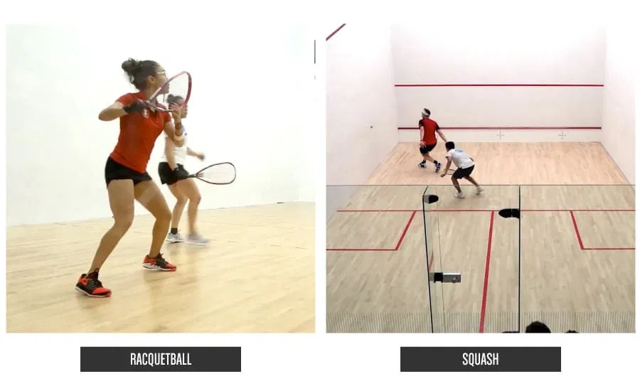 Squash Sport VS Racquetball